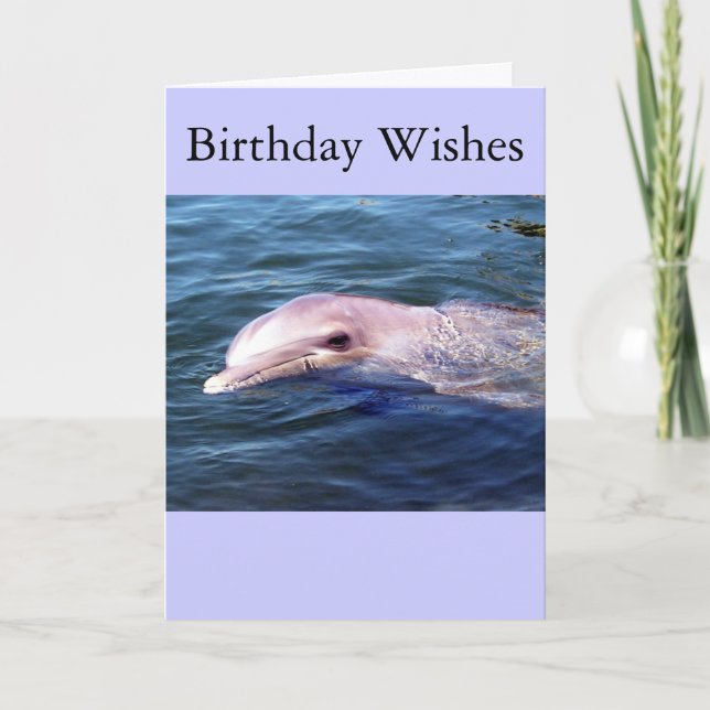 Tarjeta Dophin salvaje (Anverso)