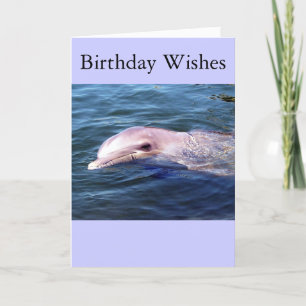 Tarjeta Dophin salvaje