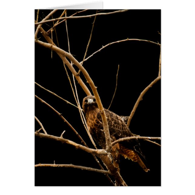 Tarjeta dorada (Frente)