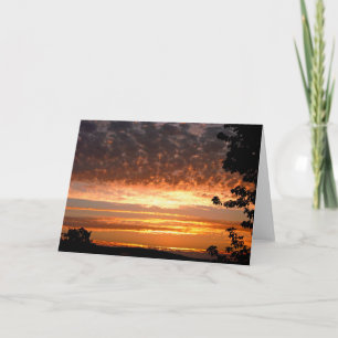 Tarjeta Dorado Morning