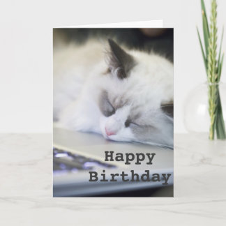 Tarjeta dormida del feliz cumpleaños del gatito