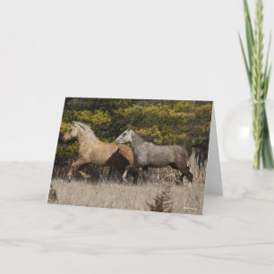 Tarjeta Dos caballos de curry de Bashkir juntos