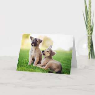 Tarjeta Dos cachorros de pastor alemanes