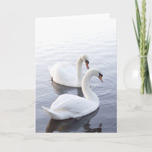Tarjeta Dos cisnes nadando en un lago tranquilo (Anverso)