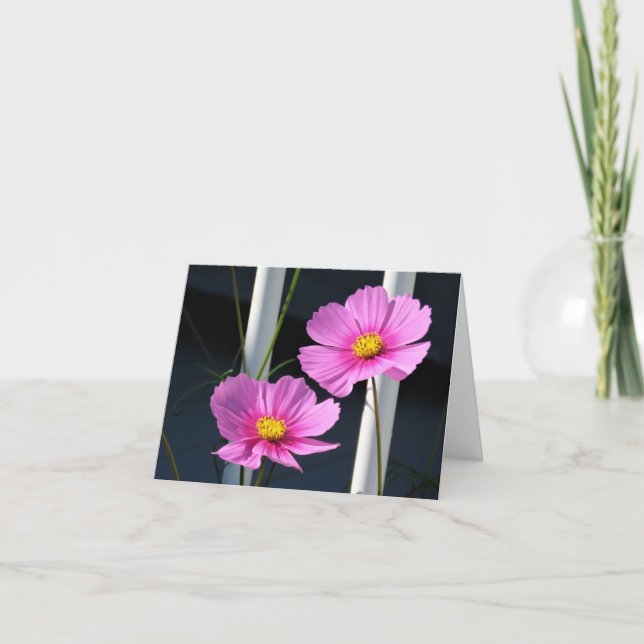 Tarjeta Dos Cosmos rosados a través del Railing (Anverso)