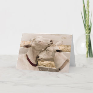 Tarjeta Dos de un par cariñoso bueno de la cabra