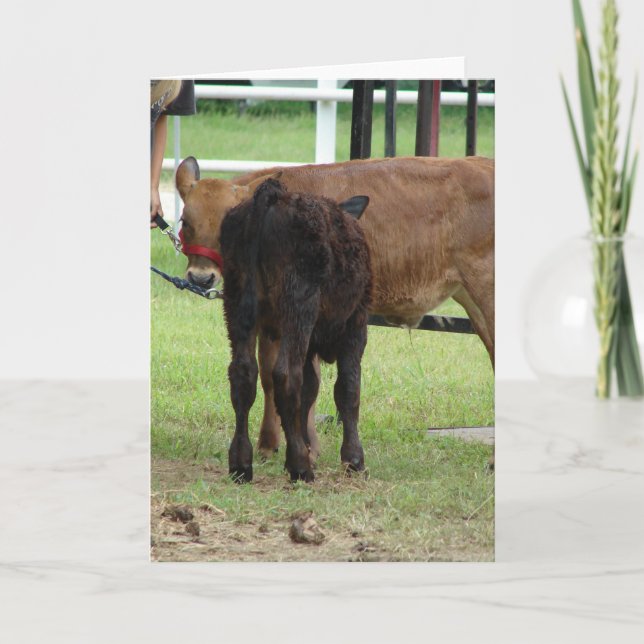 Tarjeta Dos entradas de la muestra de carne (Anverso)