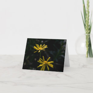 Tarjeta Dos flores de la margarita
