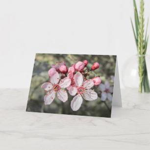 Tarjeta Dos flores rosadas alcanzando la distancia