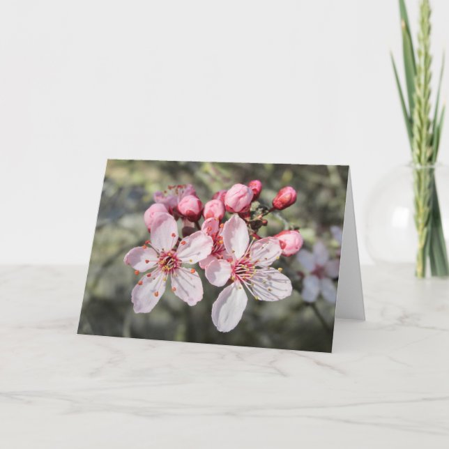 Tarjeta Dos flores rosadas alcanzando la distancia (Anverso)