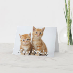 Tarjeta Dos gatitos adorables