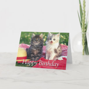 Tarjeta Dos gatitos que se sientan en una manta