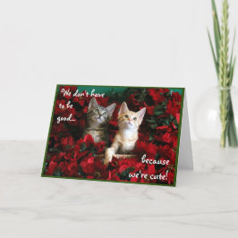 Tarjeta Dos gatitos y poinsettias rojas