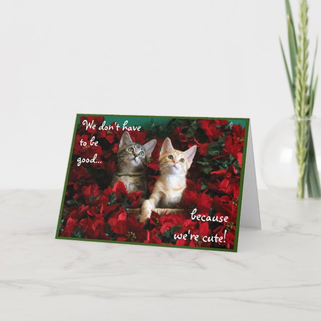 Tarjeta Dos gatitos y poinsettias rojas (Anverso)