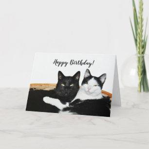 Tarjeta Dos gatos enamorados