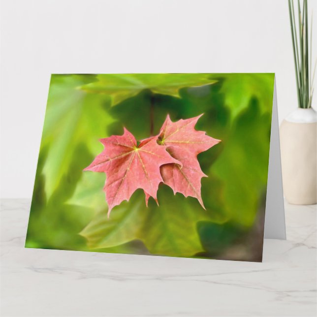 Tarjeta Dos hojas de arce (Anverso)