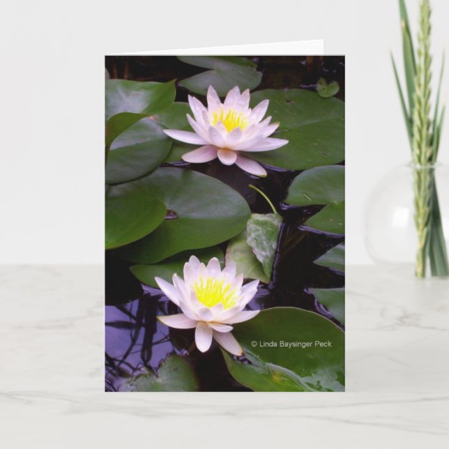 Tarjeta Dos lirios de la agua ligera (Anverso)