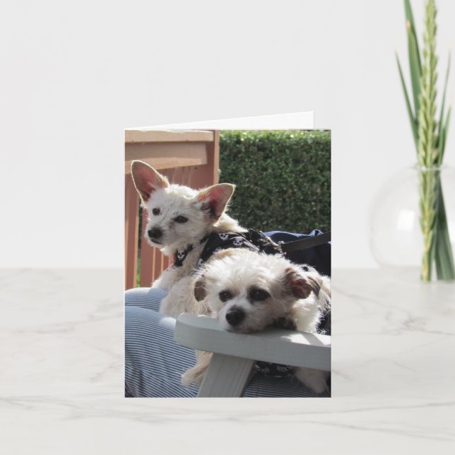 Tarjeta - Dos Pals (Anverso)