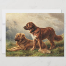 Dos perros vigilantes