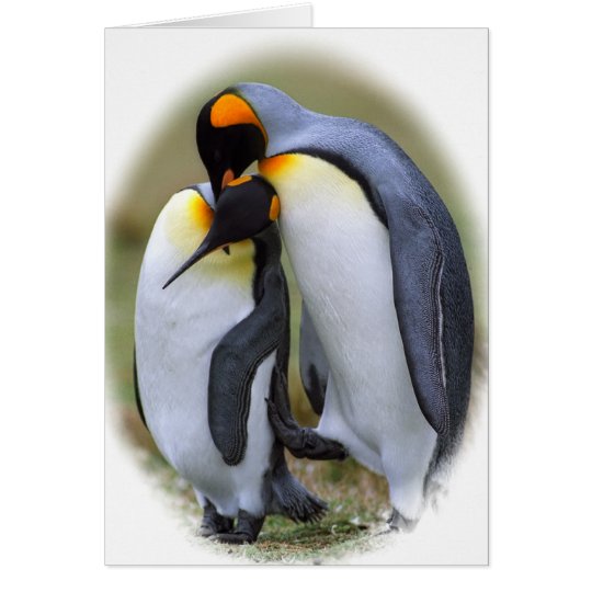 Tarjeta Dos pingüinos del amor