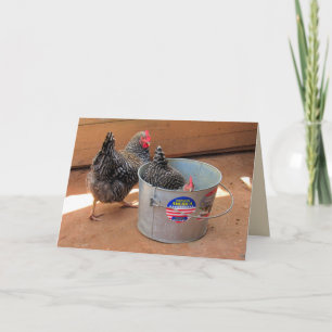 Tarjeta Dos pollitos raras