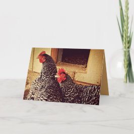 Tarjeta Dos pollos acurrucarse