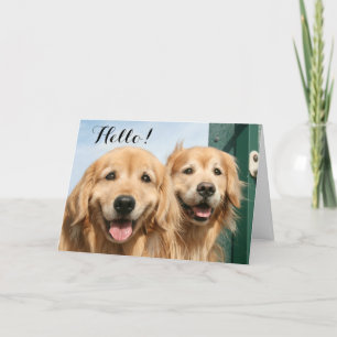 Tarjeta Dos recuperadores dorados sonrientes Hola