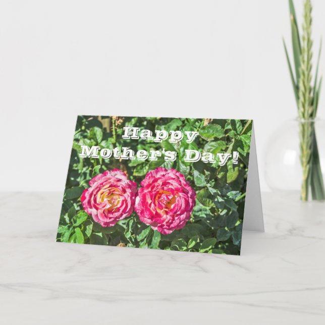 Tarjeta Dos rosas rosadas oscuras con hojas verdes oscuras (Anverso)