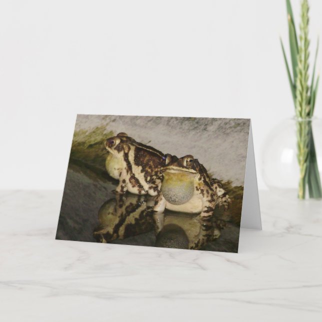 Tarjeta Dos sapos que buscan los polluelos Notecard (Anverso)