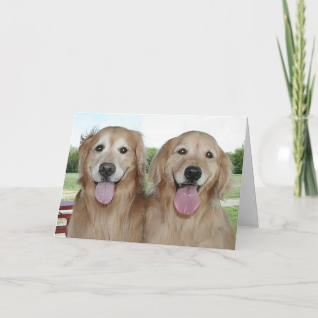 Tarjeta Dos sonrientes recuperadores de oro sólo diciendo  (Anverso)