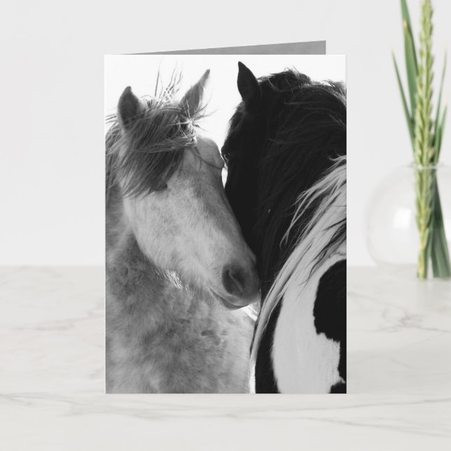 Tarjeta Dos Stallions Wilse Horse Greeting Card (Anverso)