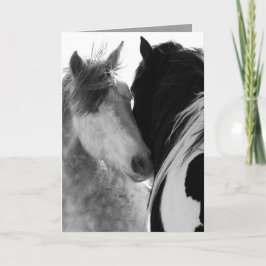 Tarjeta Dos Stallions Wilse Horse Greeting Card