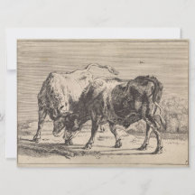 Dos toros luchando (por Paulus Potter)