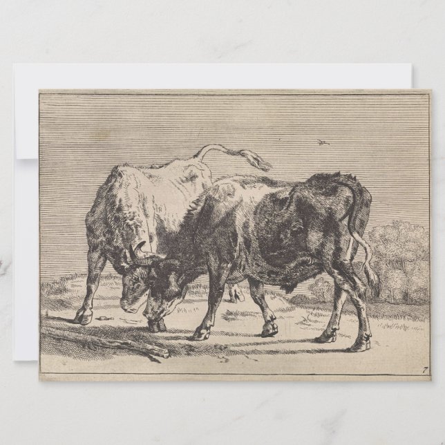 Tarjeta Dos toros luchando (por Paulus Potter) (Anverso)
