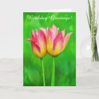 Dos tulipanes bonitos Dos deseos de cumpleaños Ama