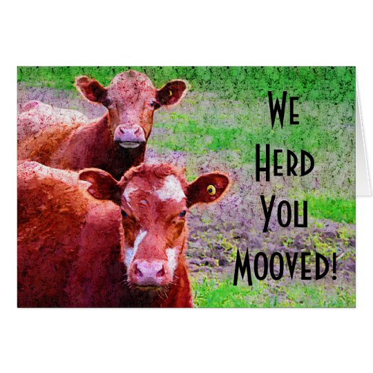 Tarjeta ¡Dos vacas le reunimos Mooved!