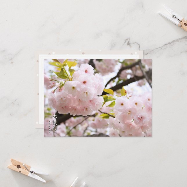 Tarjeta Double Cherry Blossom: Oh-jochin (Anverso/Reverso In Situ)