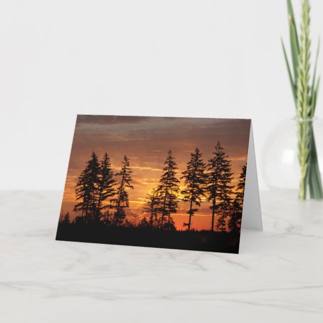 Tarjeta Douglas Firs y el Sunrise. - Arte Frameable (Anverso)