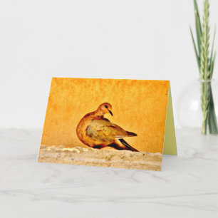 Tarjeta Dove Beauty
