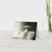 Tarjeta Dove Blank