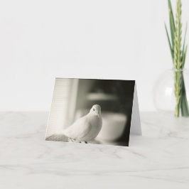 Tarjeta Dove Blank