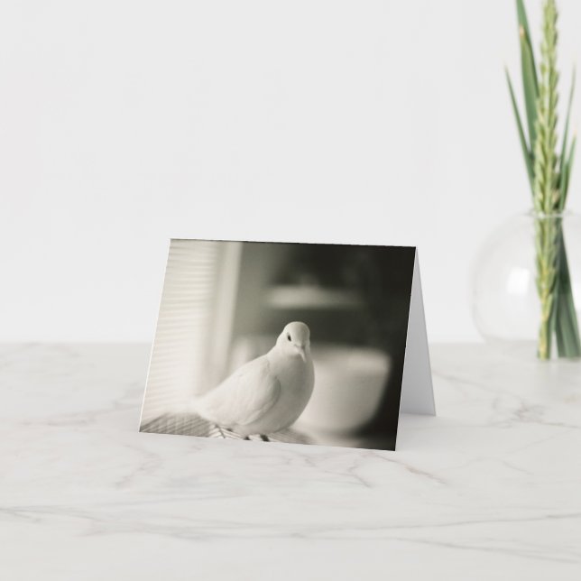Tarjeta Dove Blank (Anverso)