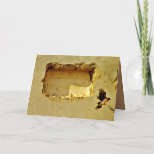 Tarjeta Dove en vuelo