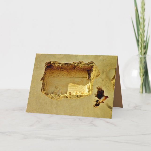 Tarjeta Dove en vuelo (Anverso)