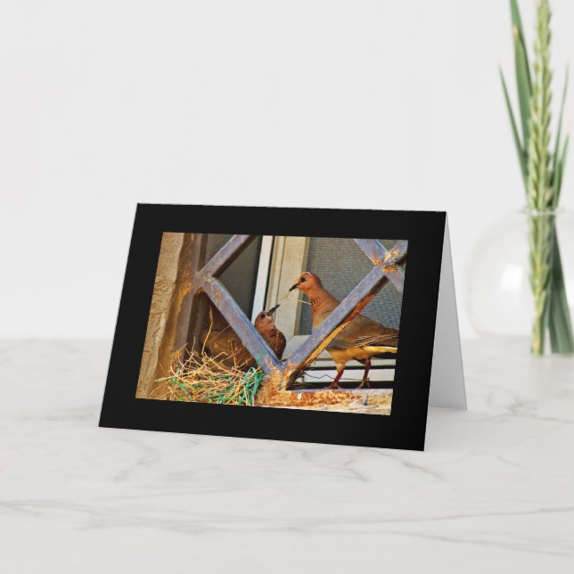 Tarjeta Dove Romance (Anverso)