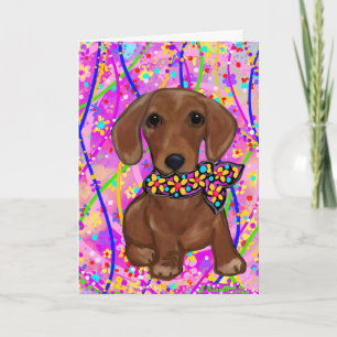 Tarjeta Doxie