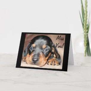 Tarjeta Doxie Pup