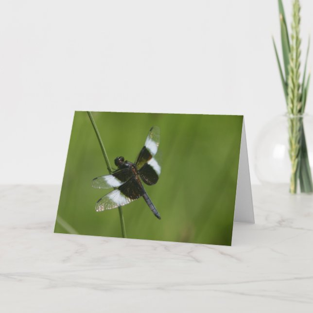 Tarjeta Dragón (Anverso)