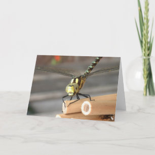 Tarjeta Dragón