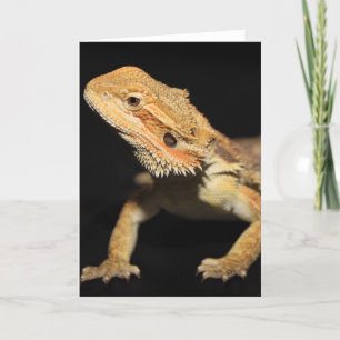 Tarjeta Dragón con las piernas curiosas 3